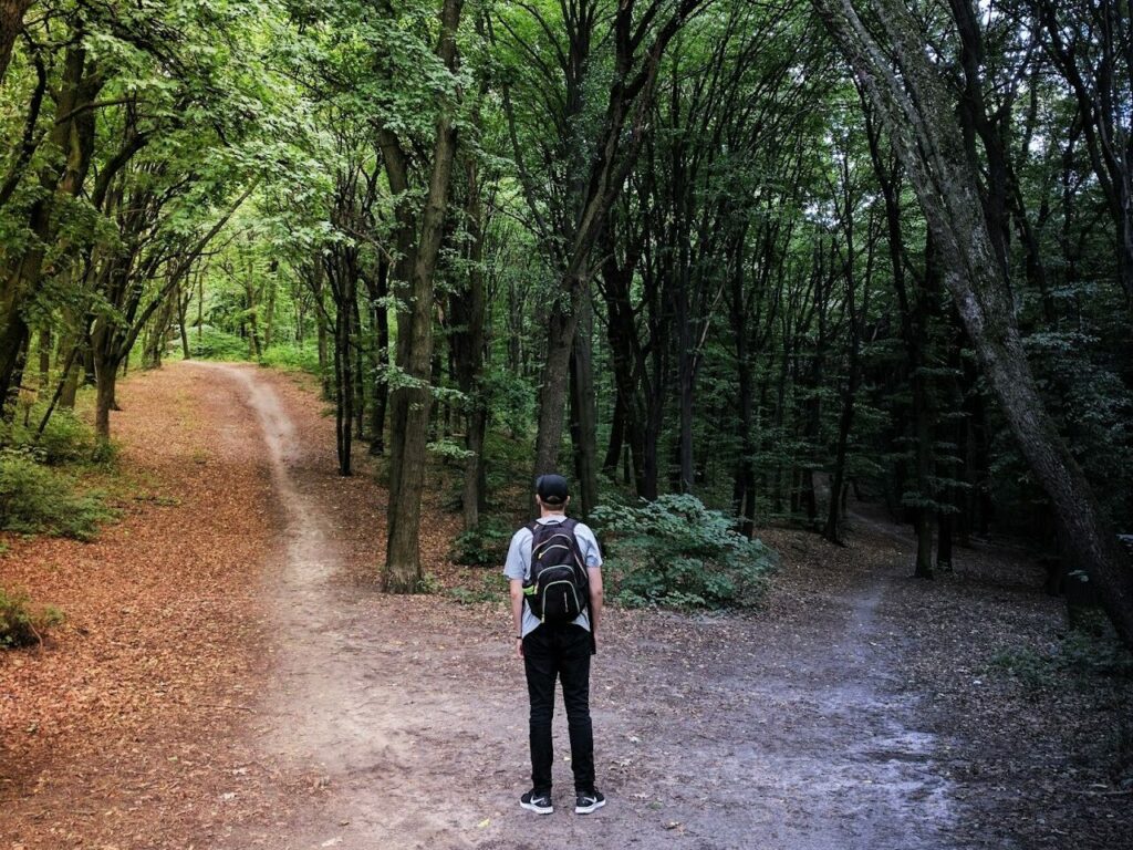 Personne debout dans une forêt face à une bifurcation de deux chemins