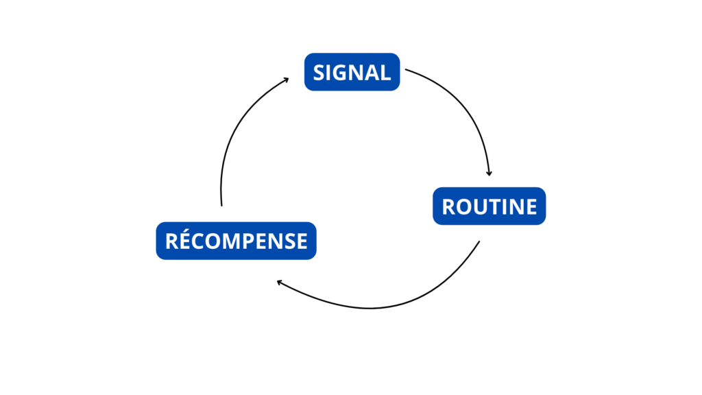 Schéma circulaire montrant un cycle en trois étapes : signal, routine et récompense